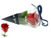 Picture of LARGE RED SOAP FLOWER